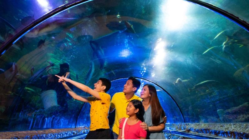 Potret Seaworld Ancol -  Wisata Tahun Baru Indoor. (Dok. Ancol)