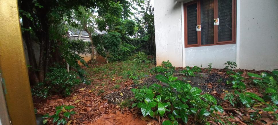 Bekas rumah dinas eks Kadiv Propam Polri Ferdy Sambo yang juga tempat kejadian pembunuhan Brigadir J di Kompleks Polri Duren Tiga, Pancoran, Jakarta Selatan, tampak tidak terurus, Rabu (4/1/2023). [Suara.com/M Yasir]