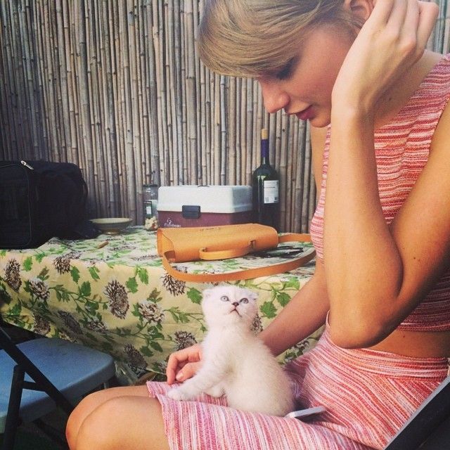 Olivia Benson kucing Taylor Swift. (dok. Instagram)