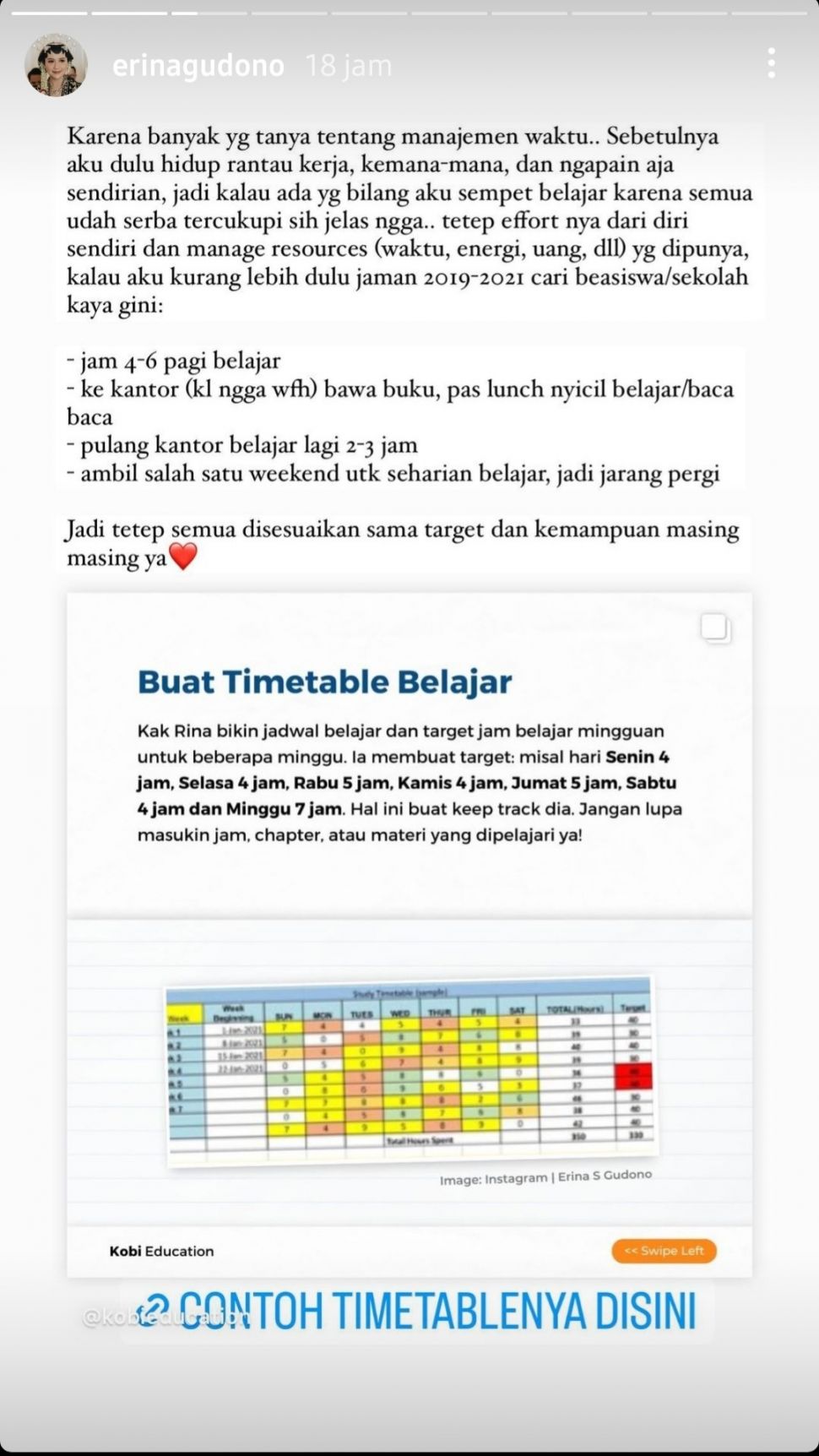 Erina Gudono Bongkar TrisLolos Beasiswa LPDP, Belajarnya Enggak Kaleng-kaleng. (Dok: Instagram/ErinaGudono)