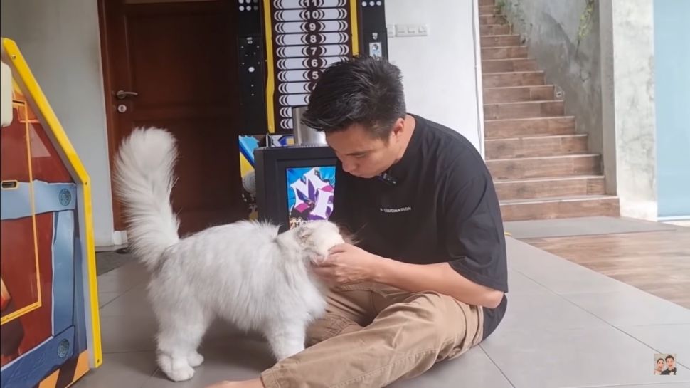 Momo kucing Baim Wong (YouTube Baim & Paula)