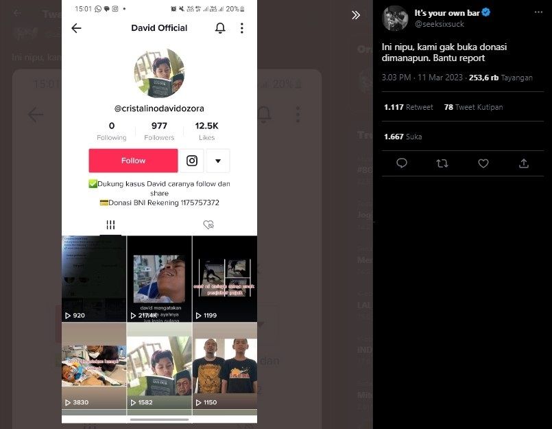 Akun mengatasnamakan David Ozora (TikTok)