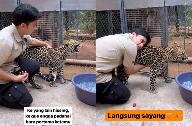 Potret Alshad Ahmad di Afrika (Instagram/@alshadahmad)