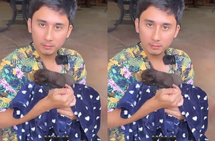 Potret Alshad Ahmad di Afrika (Instagram/@alshadahmad)