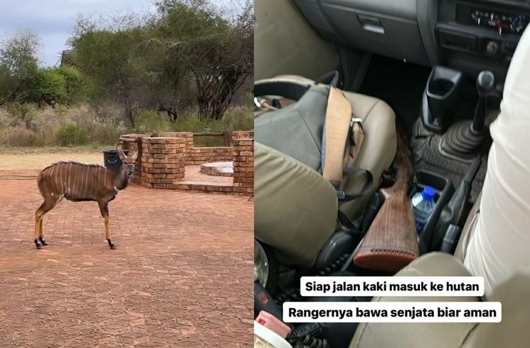 Potret Alshad Ahmad di Afrika (Instagram/@alshadahmad)
