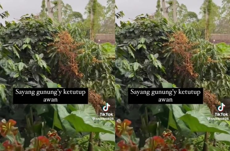 Potret Rumah Sus Rini di Kampung Halaman. (TikTok/@rayanza626)