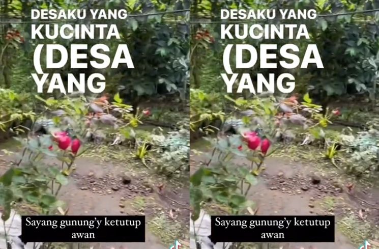 Potret Rumah Sus Rini di Kampung Halaman. (TikTok/@rayanza626)