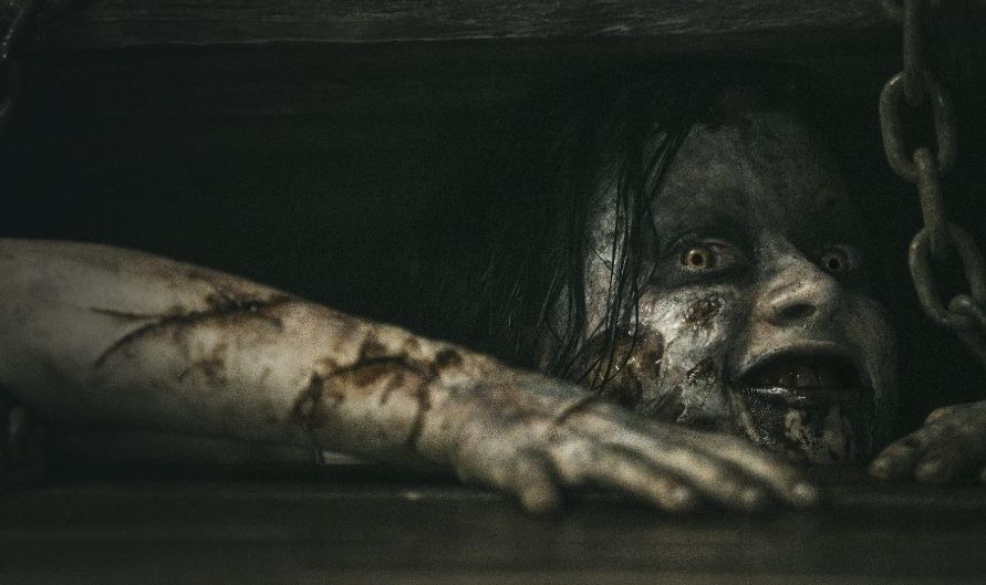 Sinopsis Evil Dead 2013. (IMDb)