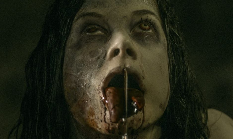 Sinopsis Evil Dead 2013. (IMDb)