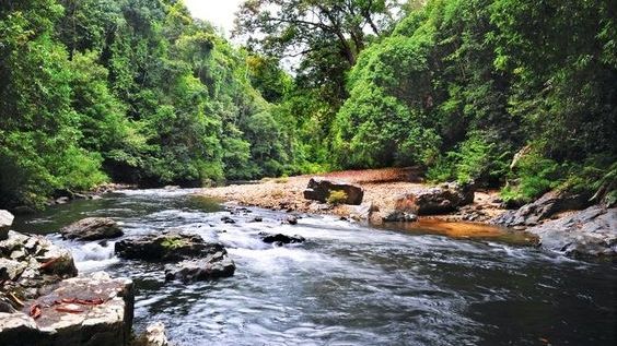 Ilustrasi Sungai (Pinterest/TripSavvy)