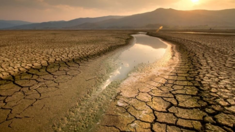 Ilustrasi Kekeringan, musim kemarau, El Nino 2023 (Freepik)