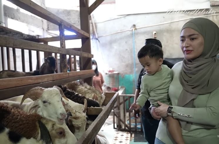 Momen Nathalie Holscher ajak kambing kurban naik Alphard. (YouTube/NATHALIE HOLSCHER)