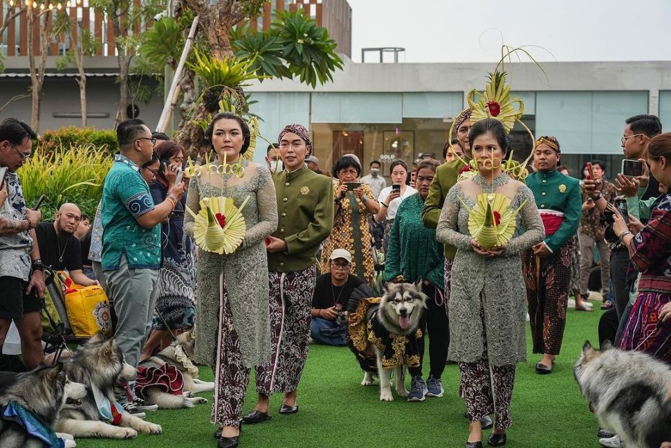 Potret Pernikahan Anjing Jojo dan Luna.  (Instagram/@jocko.jackie.joyful.jojo) 