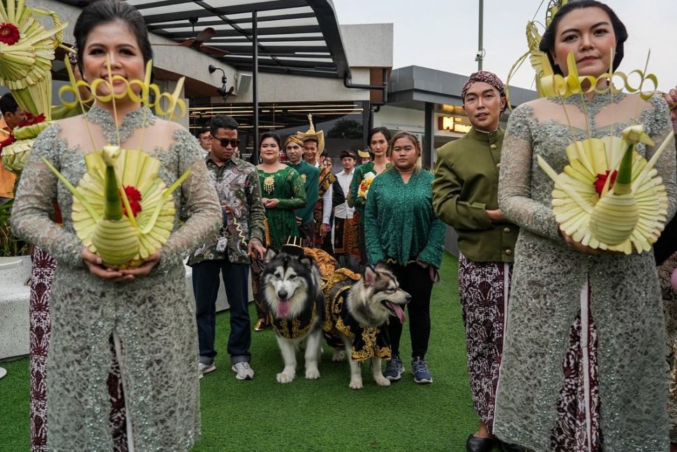 Potret Nikahan Anjing Jojo dan Luna. (Instagram/@jocko.jackie.joyful.jojo) 