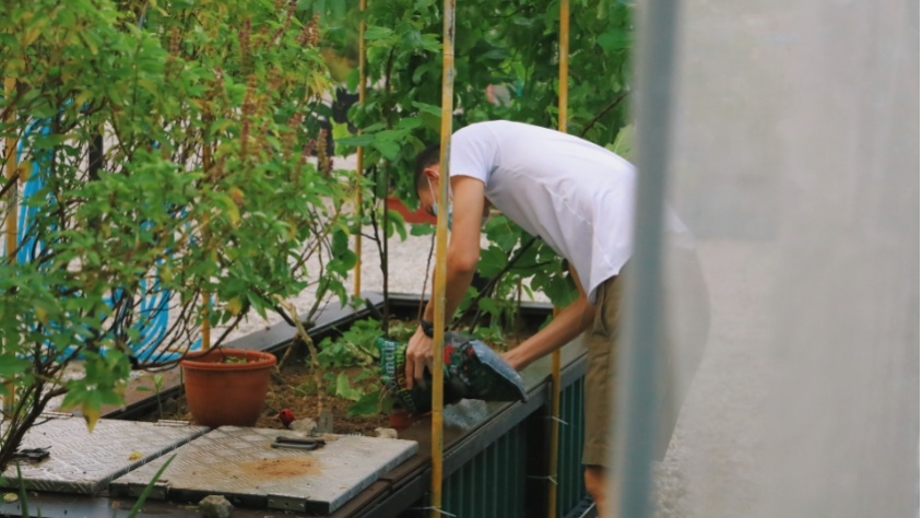 Ilustrasi urban farming (unsplash.com/@ling_gigi)
