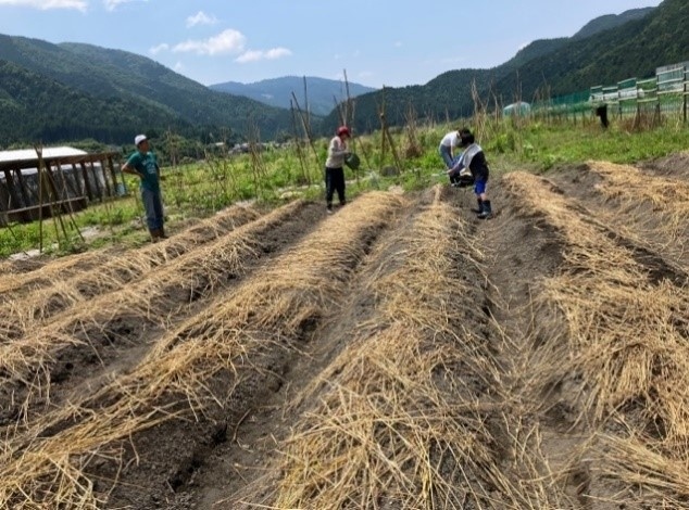 Perkebunan Sayur Ramah Lingkungan di Jepang Milik Dusit Farm (Dok. Istimewa)