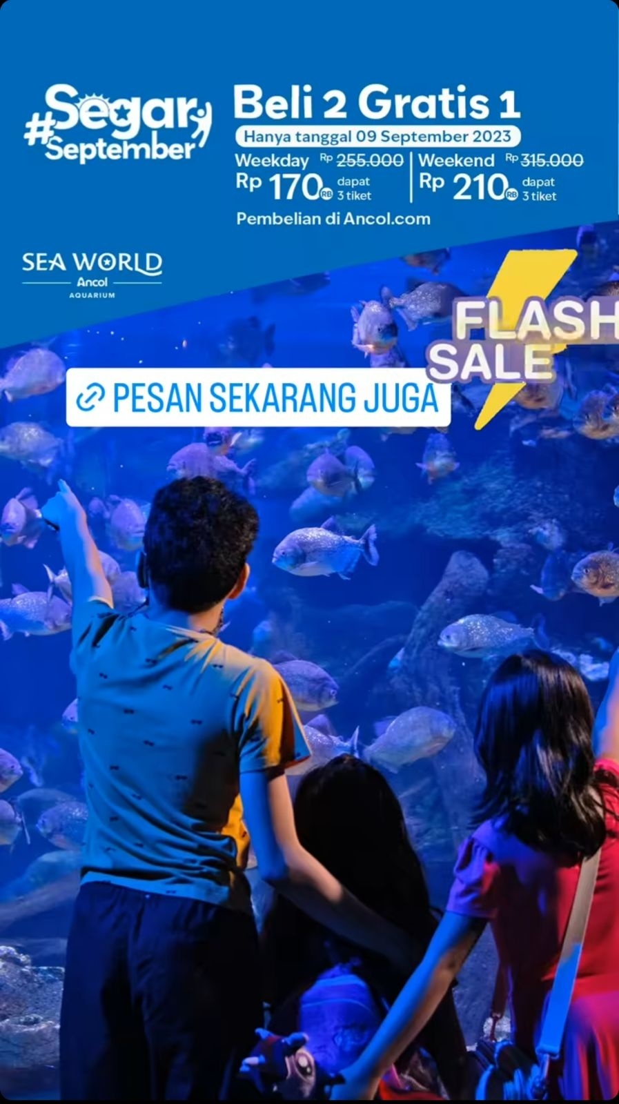Promo Wisata Flash Sale 9.9. (Instagram)