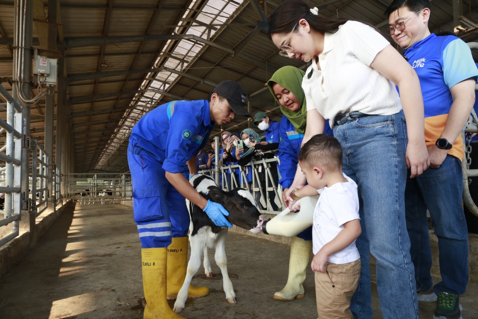 Nagita Slavina mengajak Rayyanza Cipung untuk mengunjungi peternakan dan pabrik pengolahan susu MilkLife yang terintegrasi, di Subang, Jawa Barat. (Dok. Milklife)