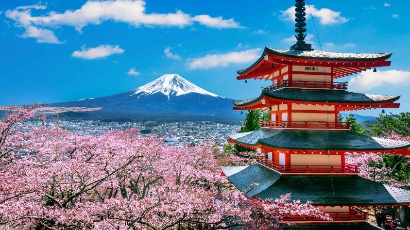 Ilustrasi Jepang (Freepik.com/tawatchai07)