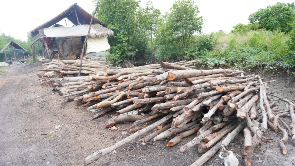 Dapur arang bakau di Pangkalan Susu. [Ist]