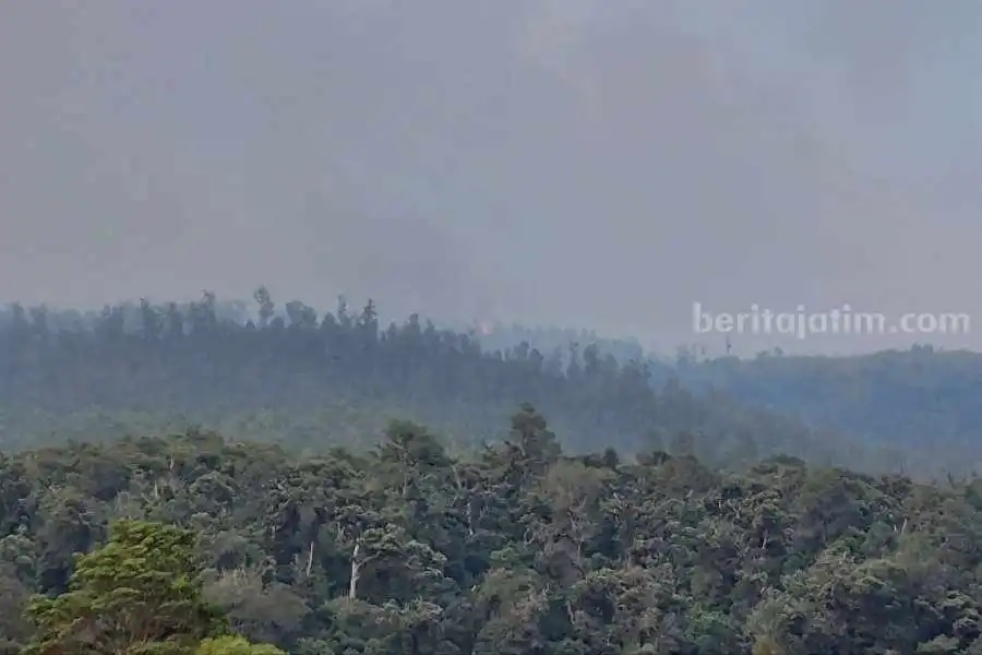 Kebakaran hutan di Gunung Lawu saat dipantau dari kawasan wisata Tirto Gumarang Desa Ngancar, Plaosan, Magetan, Jawa Timur, Selasa 17 Oktober 2023. [beritajatim.com]