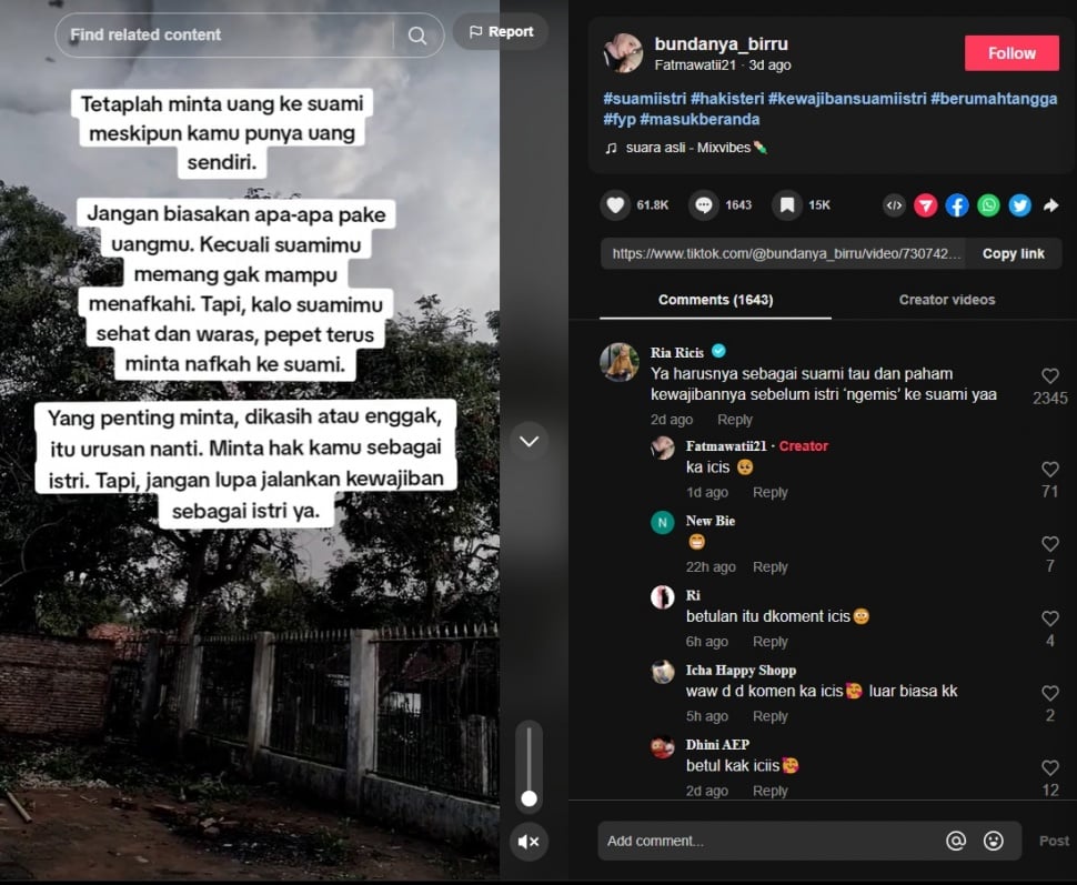 Balasan Ria Ricis diduga singgung Teuku Ryan (TikTok)