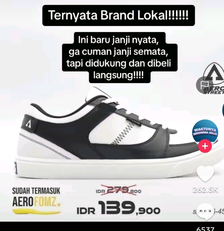 Sepatu Gibran (TikTok)