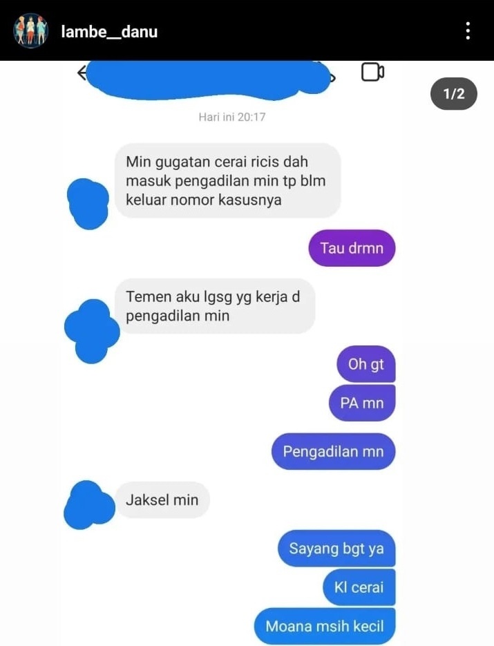 The Instagram account @lambe__danu uploaded a chat with a netizen who reported that Ria Ricis had sued Teuku Ryan for divorce at the South Newsdelivers.com Religious Court.  (Instagram)