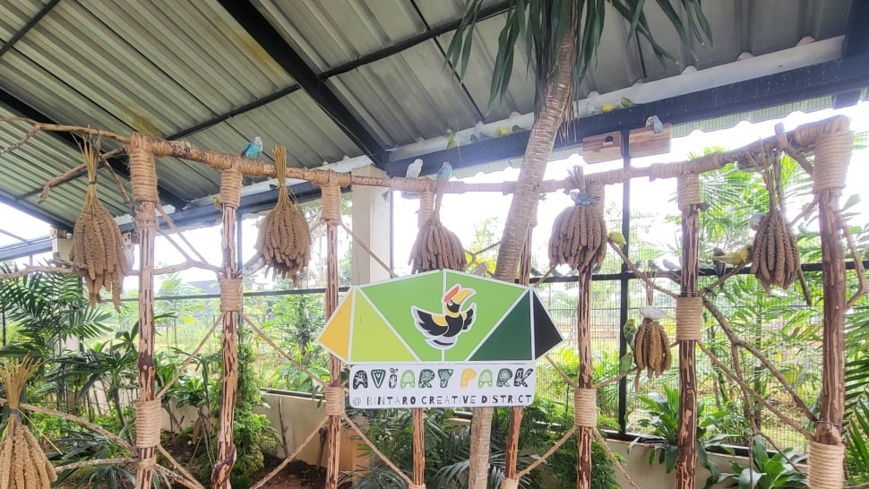 Aviary Park Indonesia Umumkan Soft Opening Pada Jumat (22/3/2024) (Suara.com/Dinda Rachmawati)