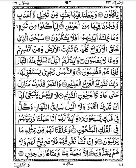 4 - surat yasin ayat 1 sampai 83 arab 4 (ist)