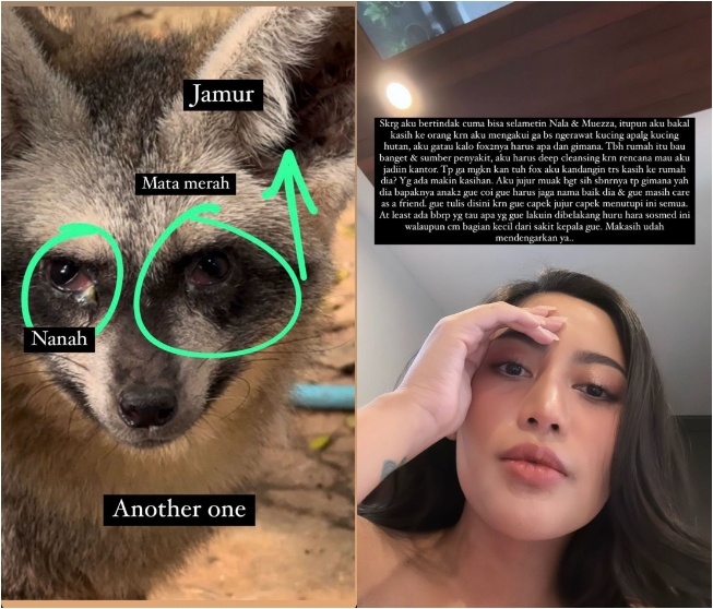 Unggahan Rachel Vennya tentang hewan peliharaan Okin (Instagram)