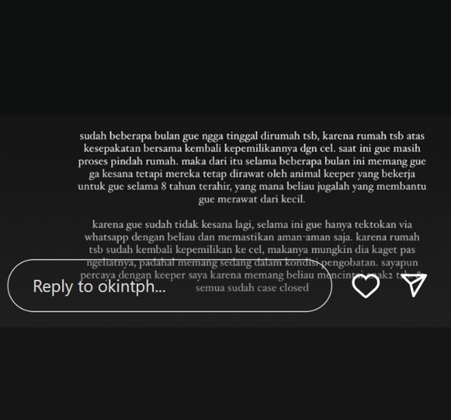 Klarifikasi Okin tentang kucingnya (Instagram)