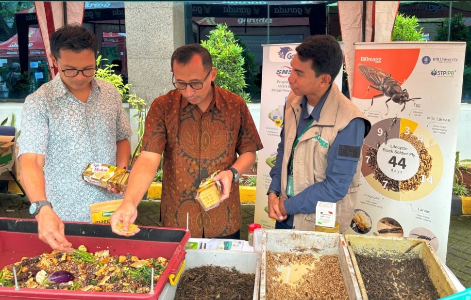  Ubah Sampah Menjadi Peluang Bisnis, Ternyata Pakai Maggot