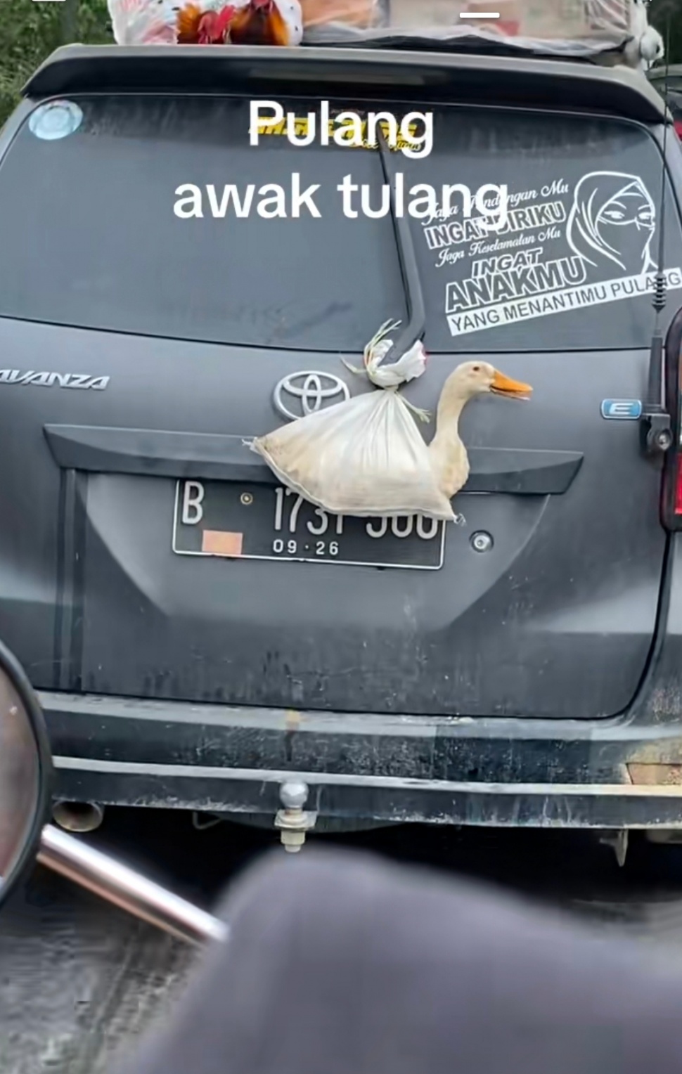 Bawaan Pemudik Diluar Nurul Saat Pulang Kampung (TikTok)