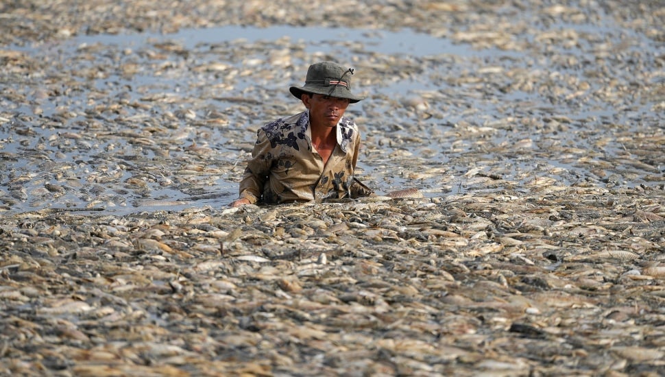 Seorang nelayan mengumpulkan ikan mati dari waduk di provinsi Dong Nai, Vietnam, Selasa (30/4/2-24). [AFP] 