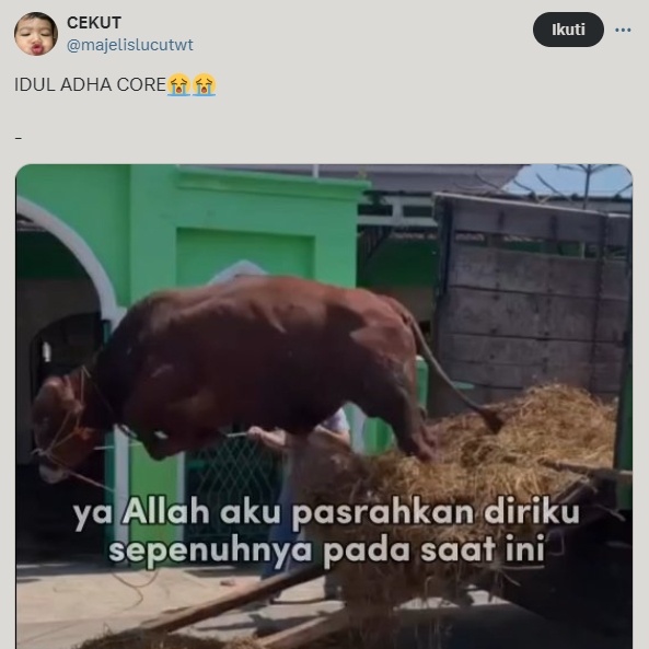 Idul Adha core yang viral di X. (x/majelislucutwt)