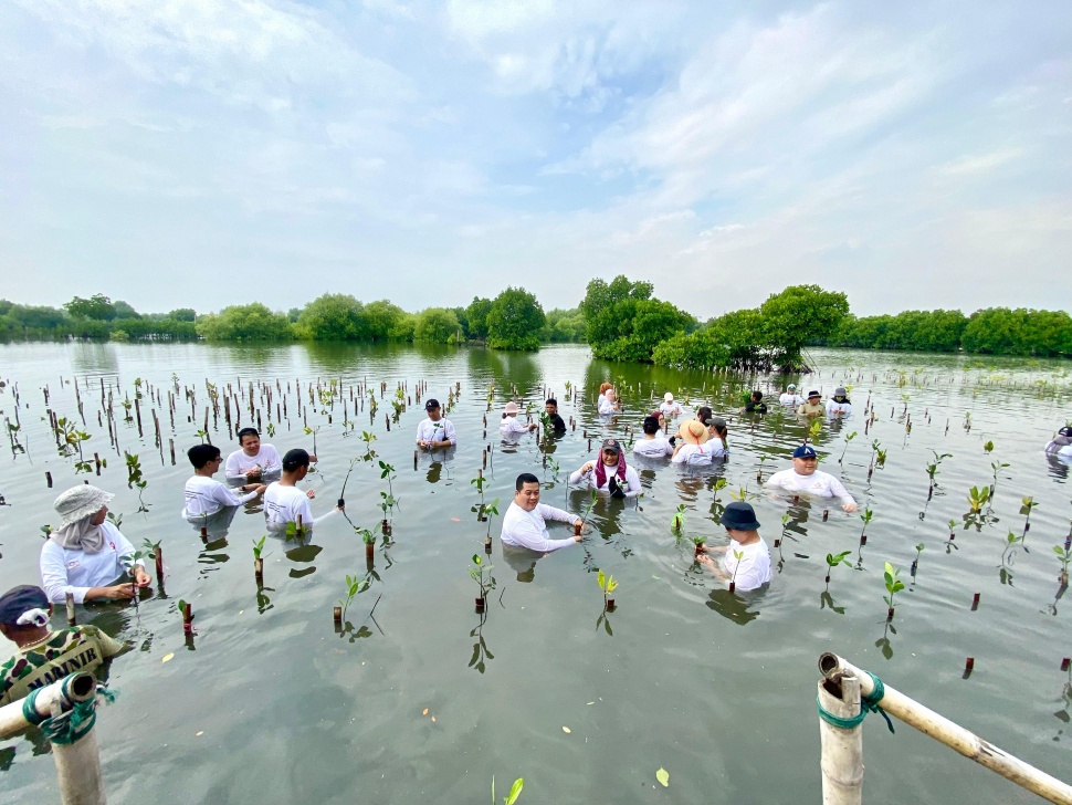 Aksi bersih-bersih dan tanam mangrove Aryaduta Menteng. (Dok. Aryaduta Menteng)