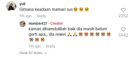 Babysitter mengungkap kondisi Kamari usai wafatnya Dali Wassink (Instagram)