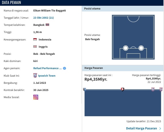 Data profil Elkan Baggott (transfermarket)