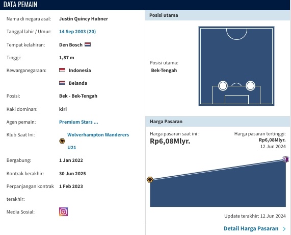 Data profil Justin Hubner (transfermarket)