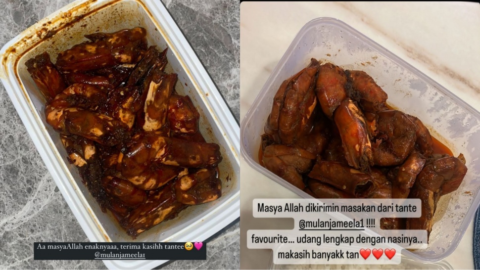 Syifa Hadju dan Tissa Biani Pamer Kiriman Makanan dari Mulan Jameela (Instagram)