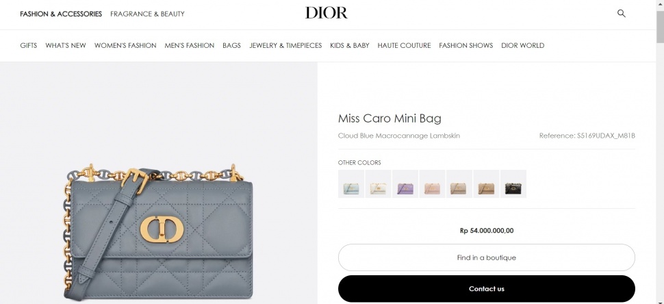 Tas Syifa Hadju [Dior]