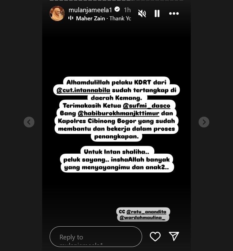 Mulan Jameela umumkan penangkapan suami Cut Intan Nabila. [Instagram]