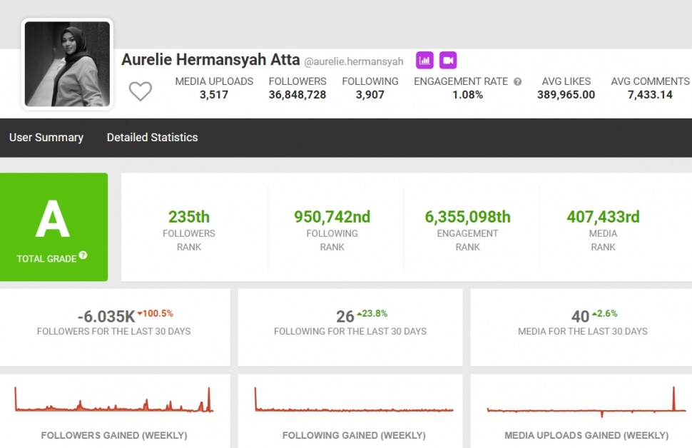 Detail Instagram Aurel Hermansyah per Agustus 2024. (Social Blade)