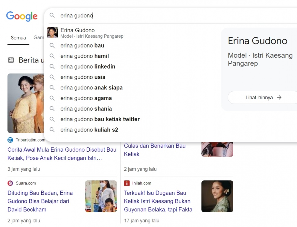 Hasil pencarian Google Erina Gudono. (Google)