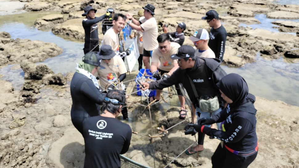 PNM Peduli Tanam Ribuan Pohon Mangrove dan Terumbu Karang di Kalimantan. (Dok: PNM)