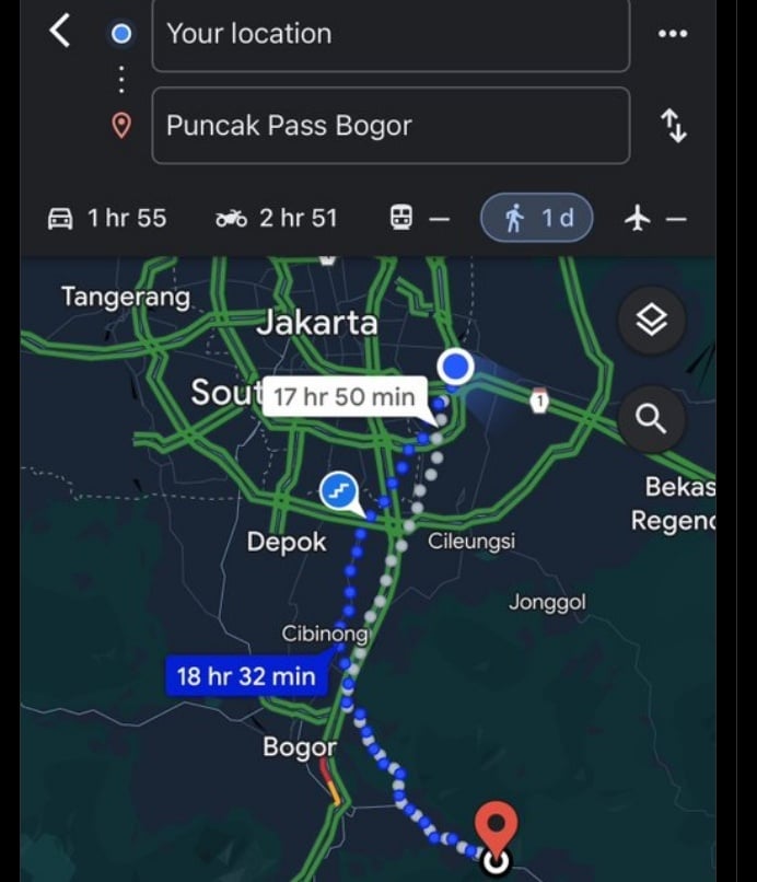 Data Google Maps jalan kaki dari Jakarta ke Puncak Bogor. (X @rgoestama)