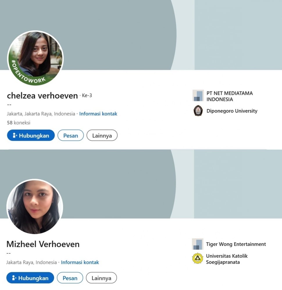 Akun LinkedIn Chelzea Verhoeven dan Mizheel Verhoeven yang dicarikan pekerjaan oleh Baim Wong. (LinkedIn)