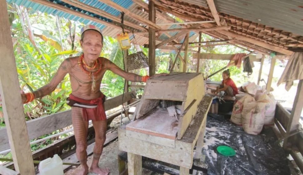 Seorang Sikerei (Tabib) berdiri di sebelah mesin pengolahan sagu yang digunakan sebagai bahan makanan pokok masyarakat di Kabupaten Kepulauan Mentawai, Sumatera Barat. [Dok.Antara/Fandi Yogari]