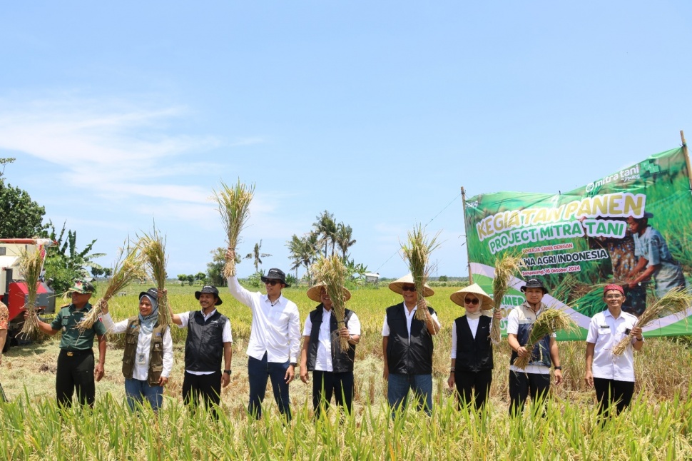 Perum Bulog melakukan penyerapan gabah melalui kemitraan Program Mitra Tani Bulog di wilayah Kabupaten Banyuwangi, Jawa Timur. (Dok: Bulog)